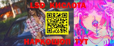 MDMA Гатчина