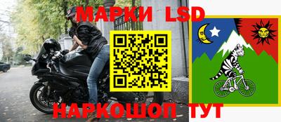 a pvp Гагарин