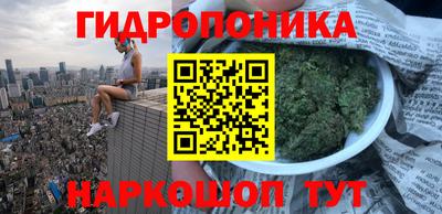 мяу мяу мука Гай