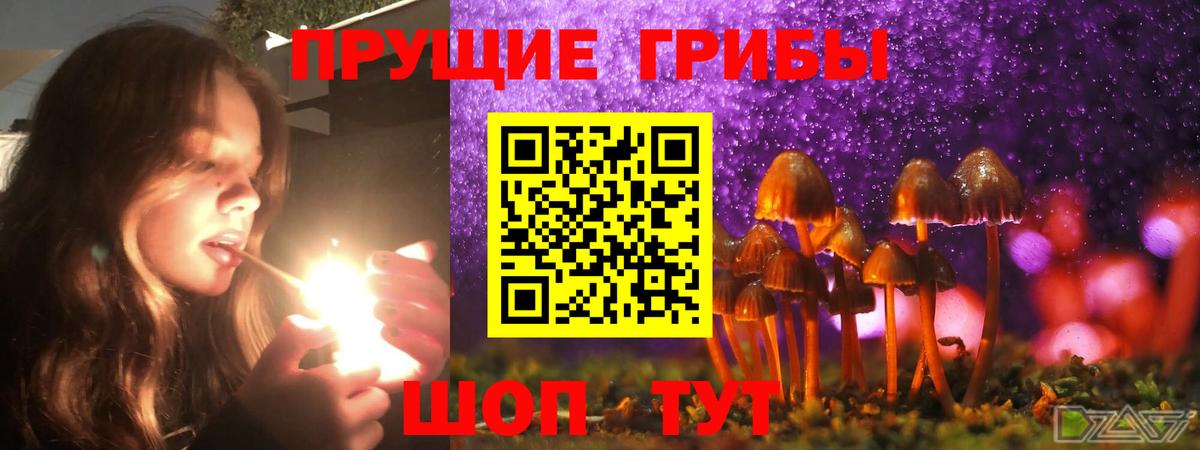 Галлюциногенные грибы MAGIC MUSHROOMS Буйнакск